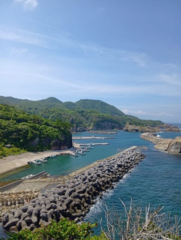 nubia S2 カメラ
晴天下の海を捉えた一枚
