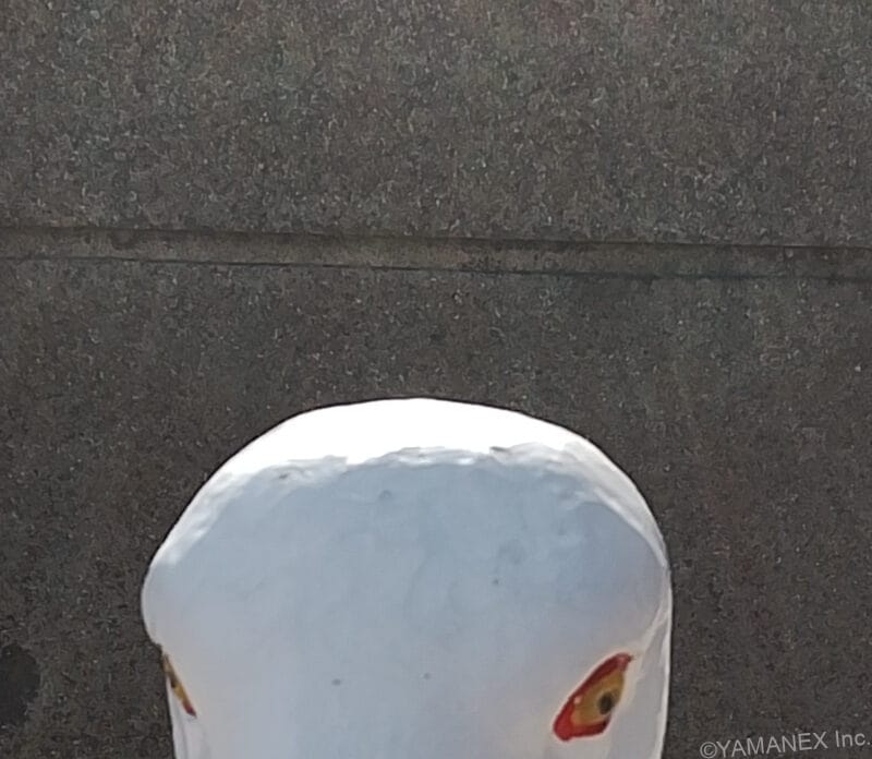 nubia S2 カメラ 鳥の銅像を自撮り撮影した一枚