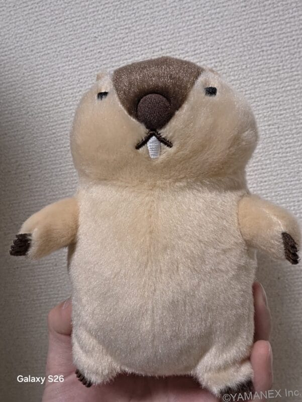Galaxy S26 カメラ
ぬいぐるみをフロントカメラで撮影した一枚