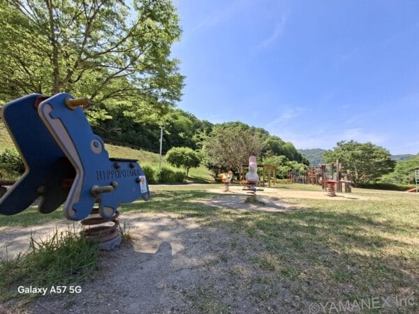 Galaxy A57 5G カメラ 晴天下の公園の様子を捉えた一枚