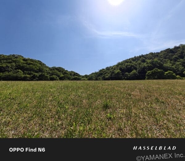 OPPO Find N6 カメラ 晴天下の芝生を捉えた一枚