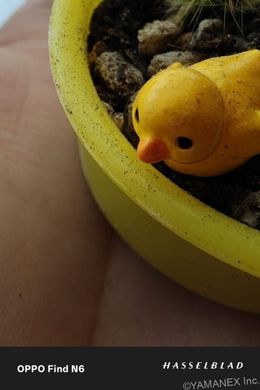 OPPO Find N6 カメラ ひよこがのった鉢植えをマクロ撮影した一枚