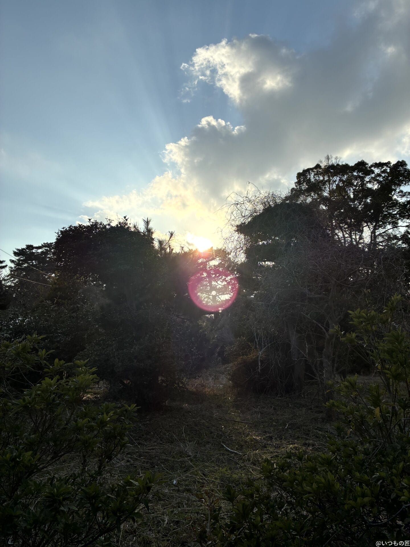 iPhone16e カメラ iPhone16eで撮影した風景写真